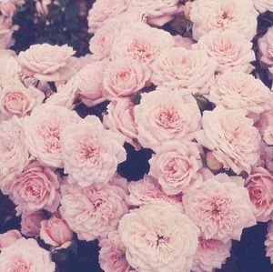 Meet your Posher, Maykella